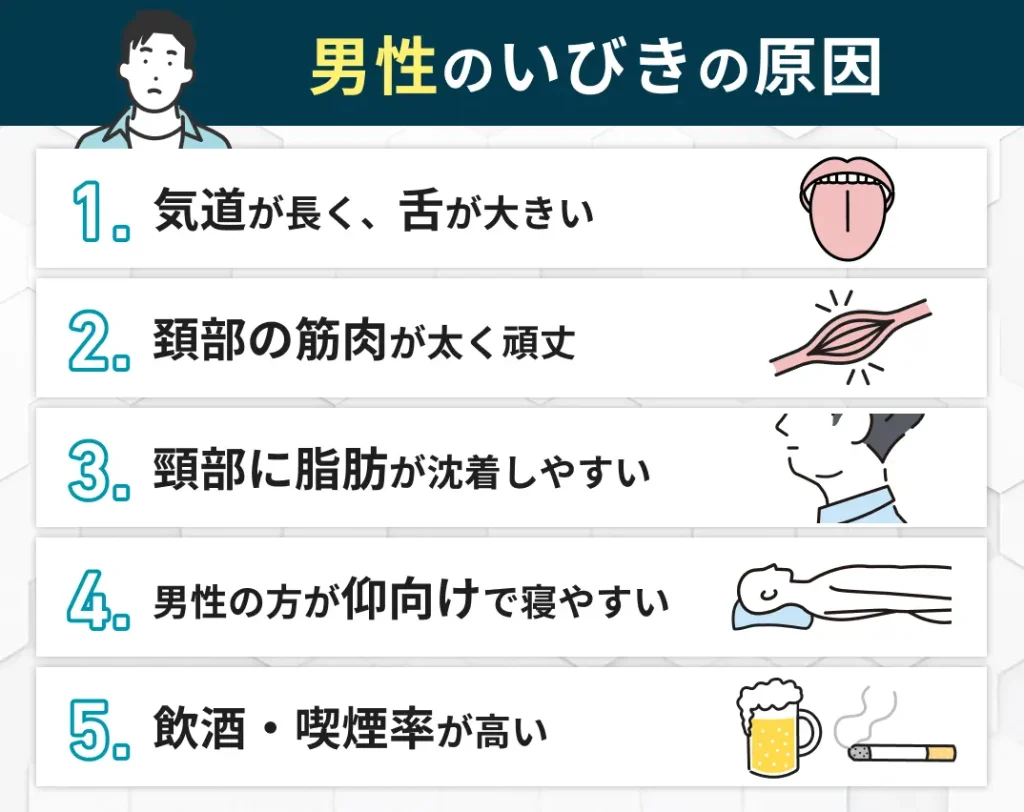 男性のいびきの原因