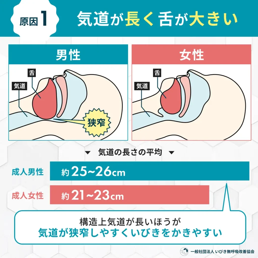気道が長く、下が大きい