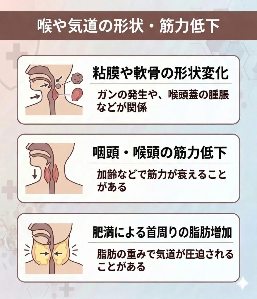 喉や気道の形状・筋力低下