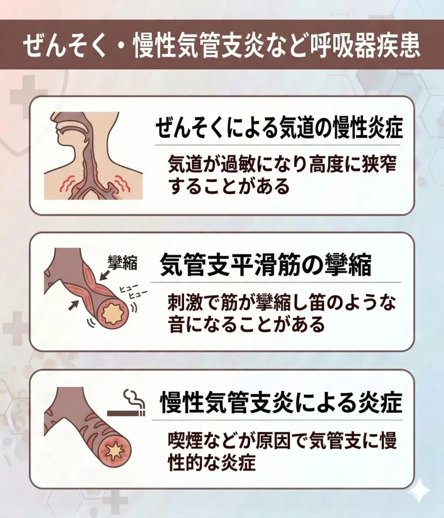 ぜんそく・慢性気管支炎など呼吸器疾患