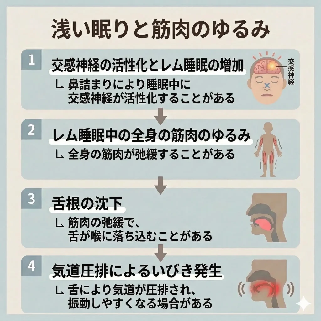 浅い眠りと筋肉のゆるみ