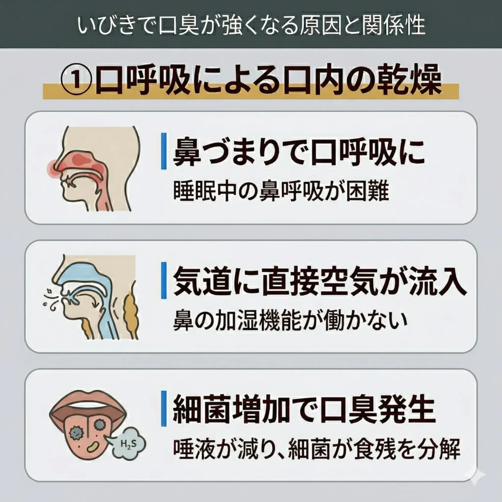 口呼吸による口内の乾燥