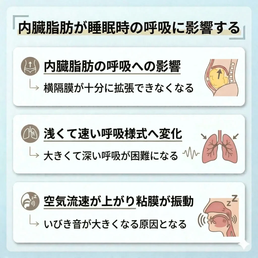 内臓脂肪が睡眠時の呼吸に影響する