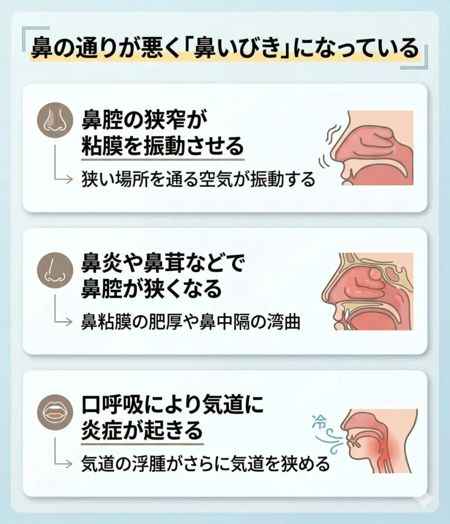 鼻の通りが悪く「鼻いびき」になっている